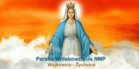 Parafia Wniebowzięcia NMP - Wojkowice Żychcice